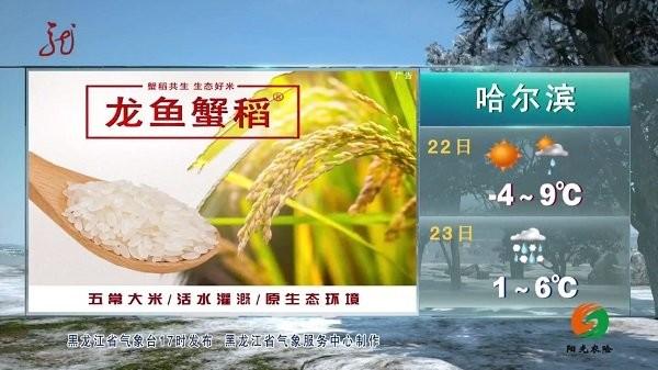 点点tv直播最新版本下载,点点tv,电视直播