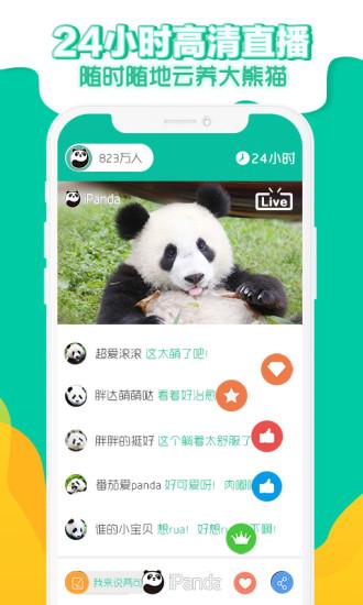 熊猫频道APP下载,熊猫频道,熊猫app,直播app